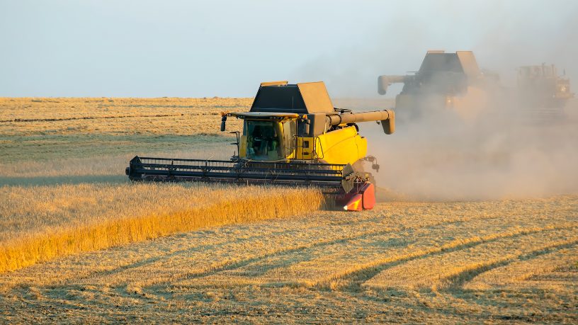 A trajetória que vai da roça à liderança empresarial reflete agronomia e visão de gestão, como destaca Alfredo Moreira Filho.
